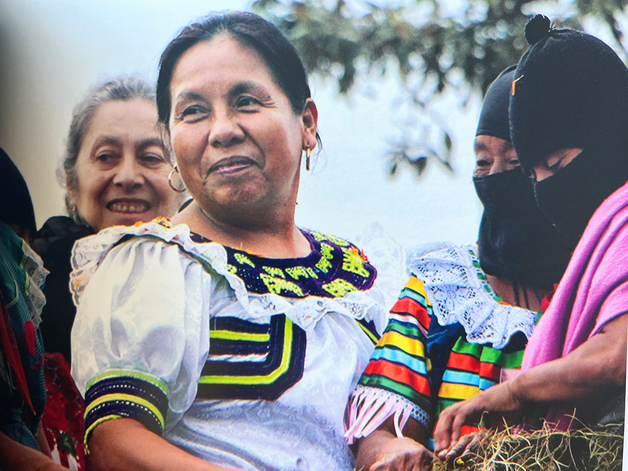 Flores en el desierto: Mujeres del Concejo Indígena de Gobierno.