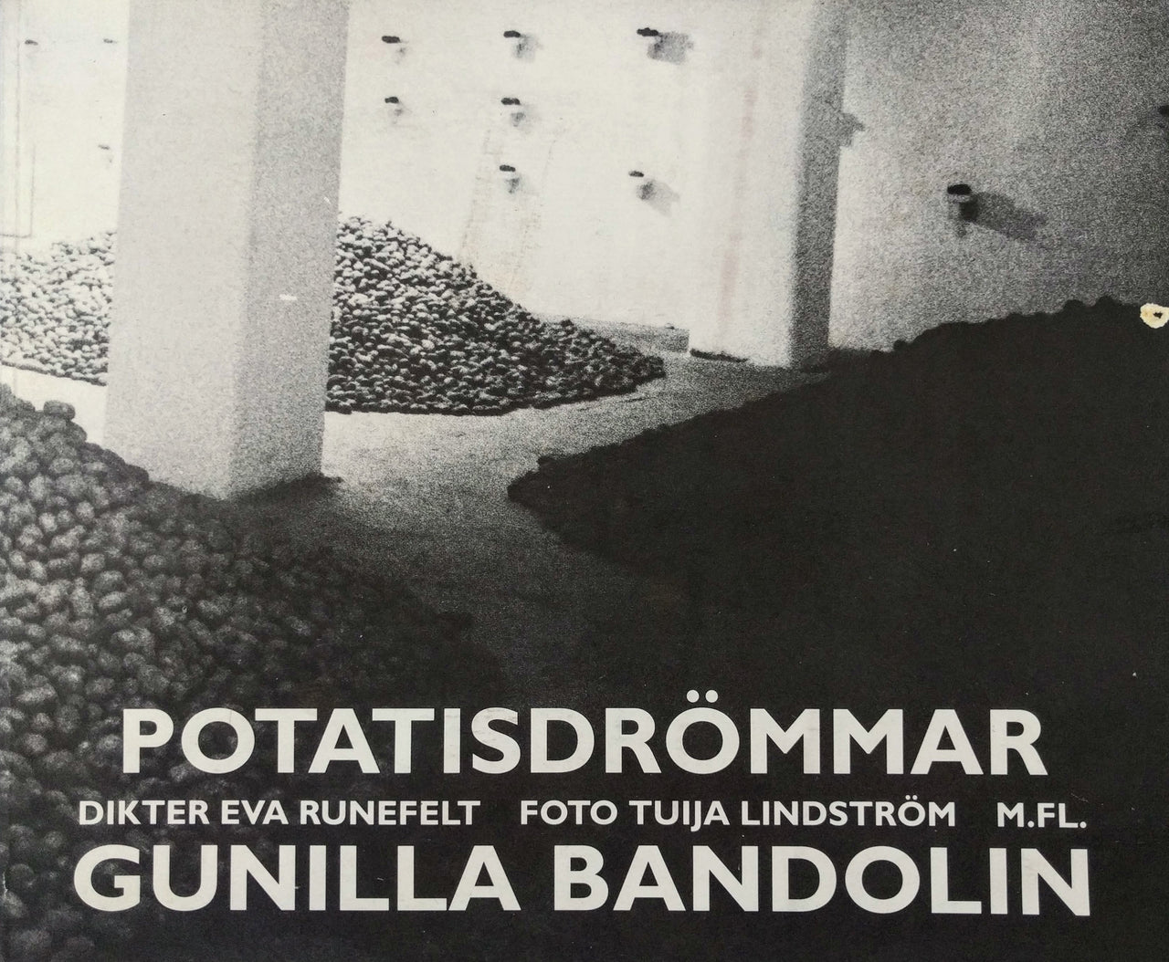 Potatisdrö̧mmar