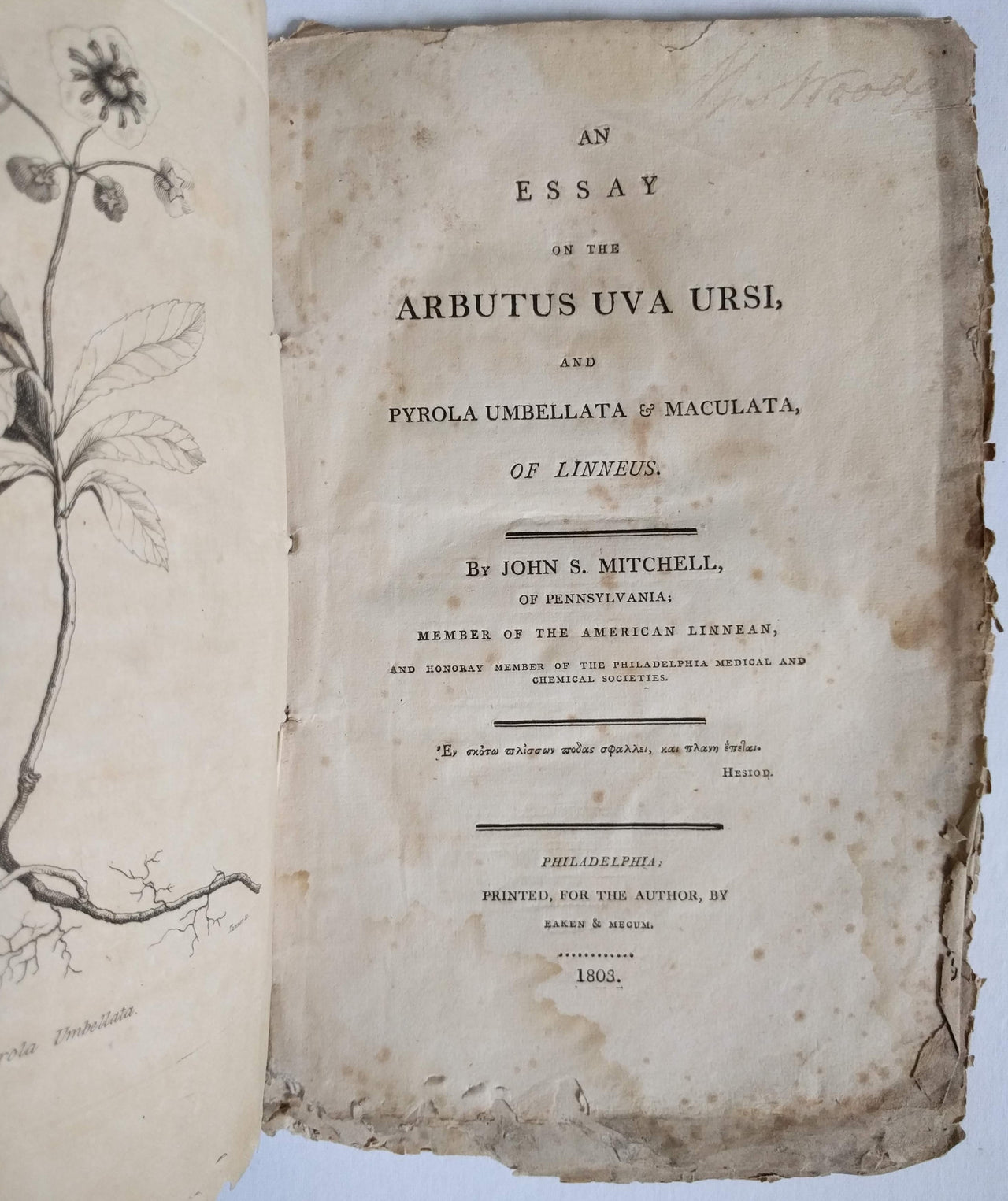 An essay on the Arbutus Uva Ursi and Pyrola Umbellata \u2026