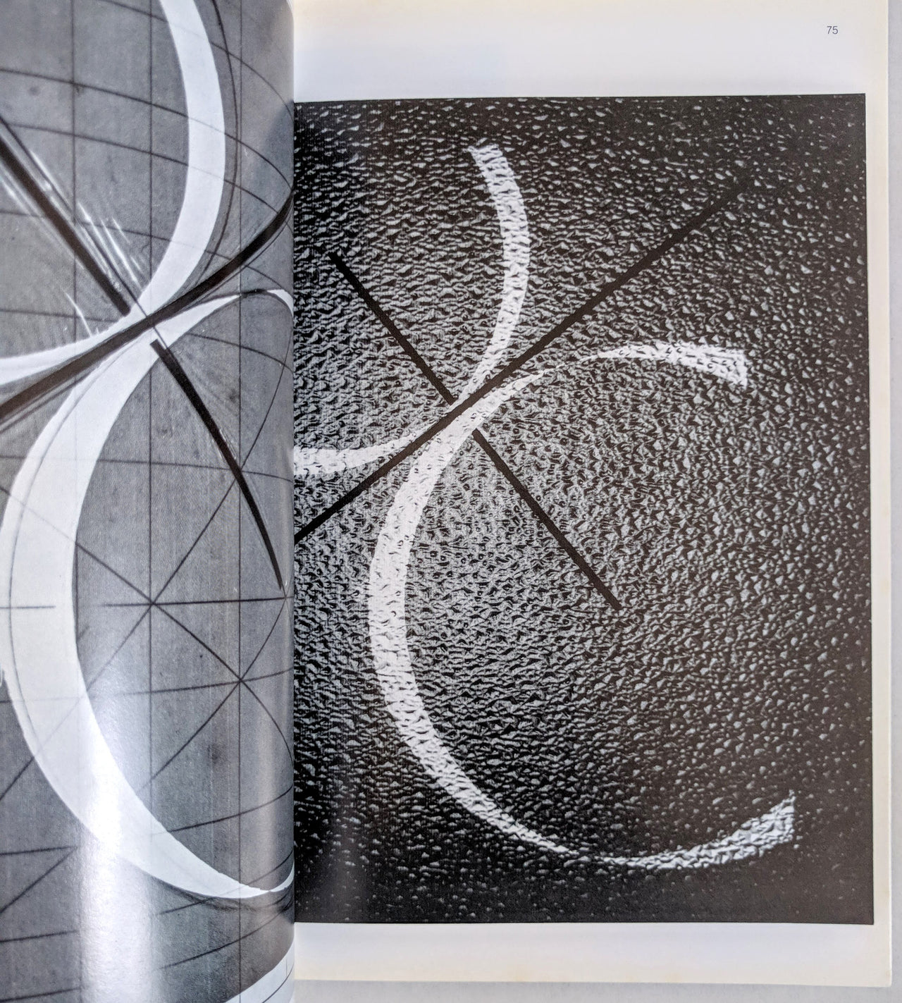 A ruptura da fotografia nos anos 50.