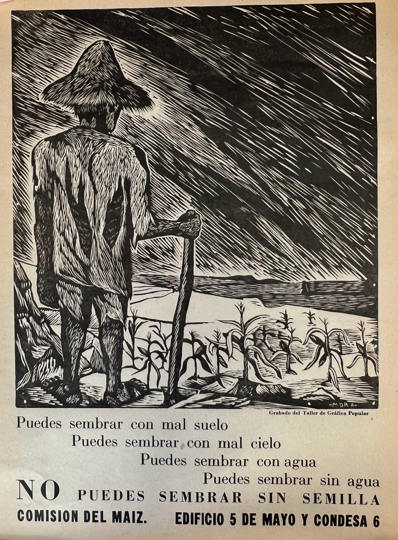 Puedes sembrar con mal suelo ... no puedes sembrar sin semilla