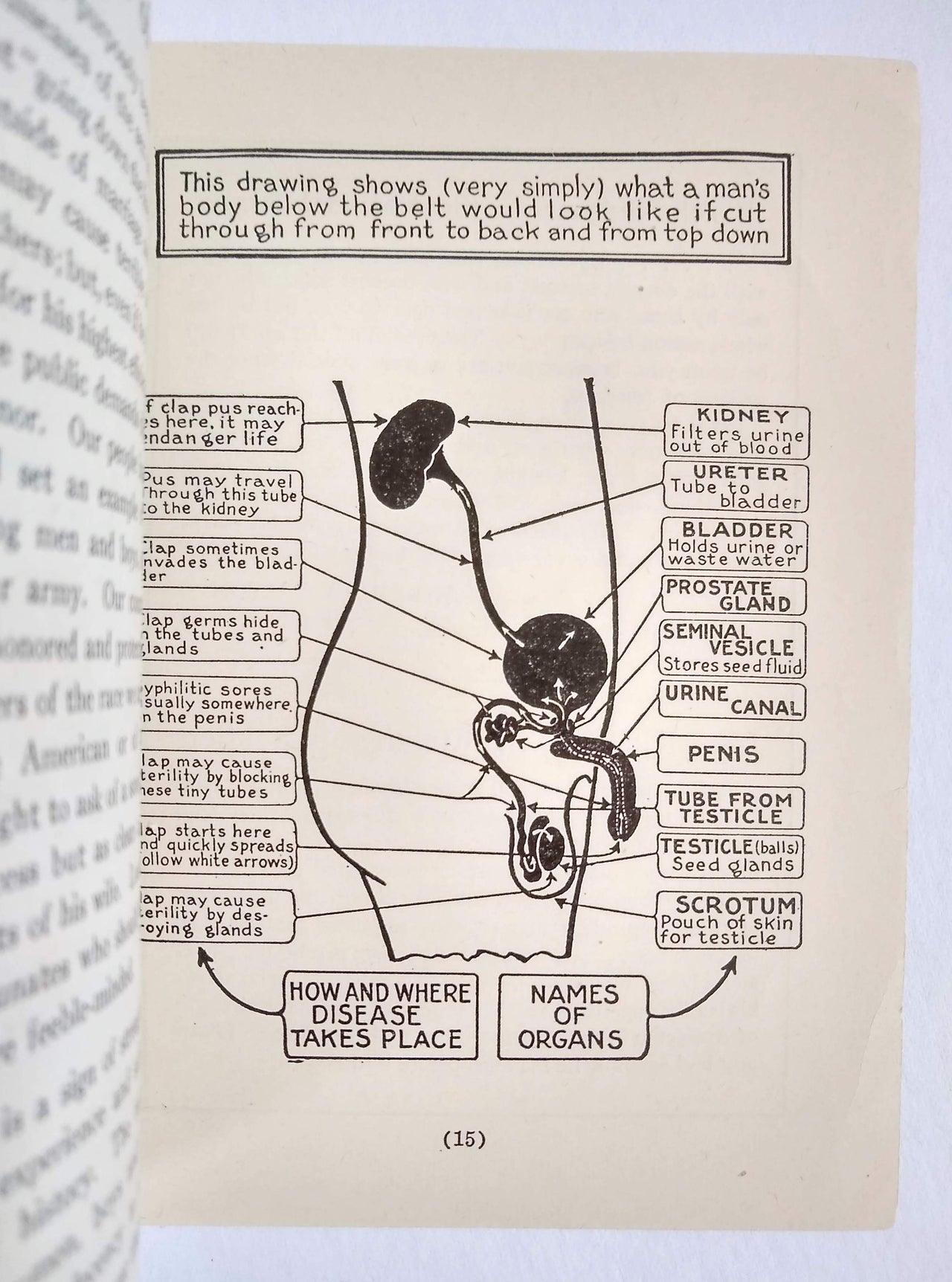 (Sexual Health) (Soldiers) Keeping Fit to Fight; Sex Hygiene and Venereal Disease.